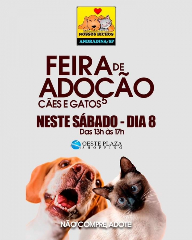 Em Andradina Feira de Adoção de Cães e Gatos neste sábado no Oeste Plaza Shopping