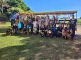 Protetoras de Mirandópolis promoveram desfile de animais para incentivar adoção durante ação preparatória para o evento Desfila CÃO