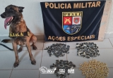 8º BAEP de Prudente apreende 352 cápsulas de pasta base de cocaína, alvo de combate ao crime cidade de Presidente Bernardes