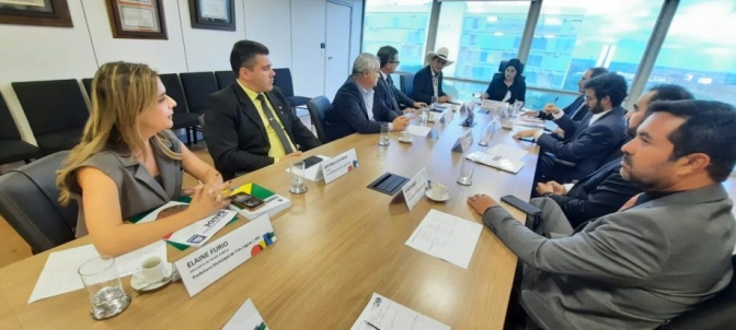 Novas obras e UFN-3 são pautas de reunião entre prefeito e vereadores de TL com ministra do Planejamento