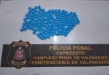 Policiais Penais apreendem comprimidos com visitante de detento na Penitenciária de Valparaíso