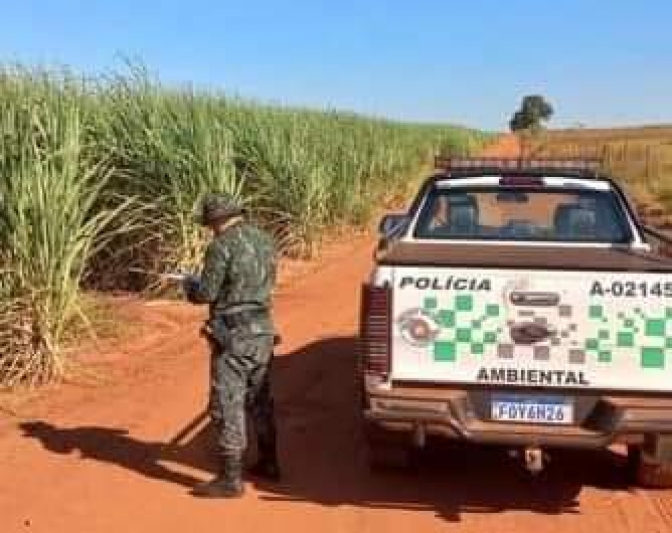 Polícia Militar Ambiental realiza a Operação Huracan em Castilho