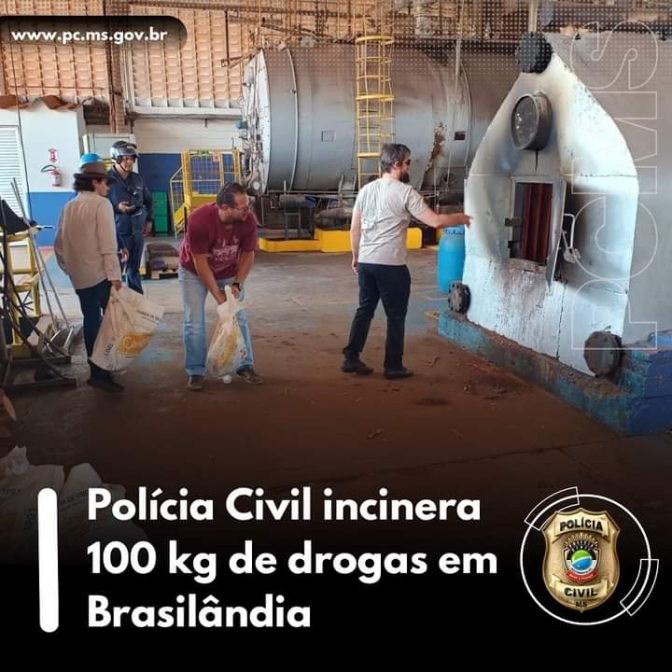 Polícia Civil de Brasilândia incinera mais de 100 KG de drogas