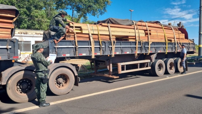 Polícia Ambiental de Castilho realiza Operação Semana do Meio Ambiente, foco é fiscalizar transporte de madeireiras e tráfico de animais