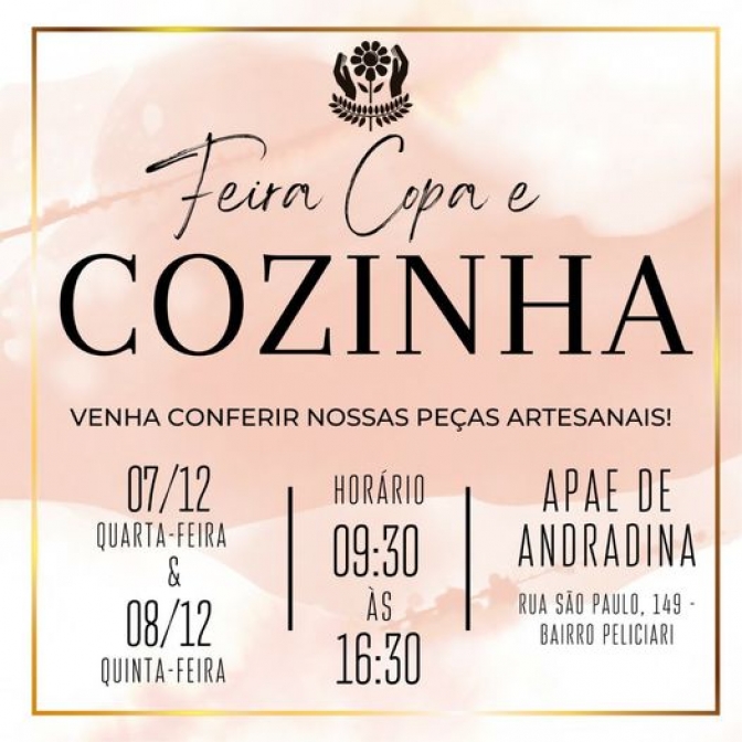 Apae de Andradina realiza Feira de Copa Cozinha 2022