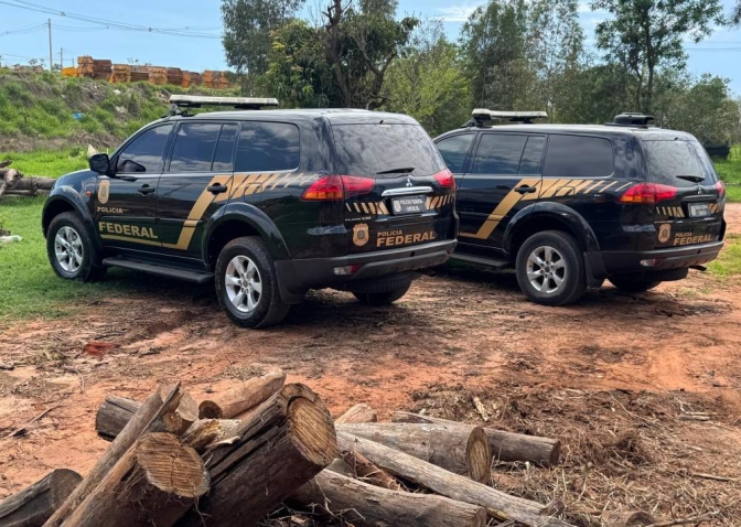 Polícia Federal incinera 361 quilos de maconha resultado da operação em Penápolis