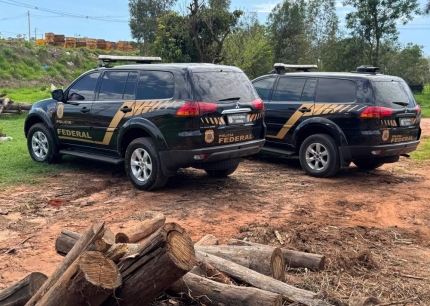 Polícia Federal incinera 361 quilos de maconha resultado da operação em Penápolis