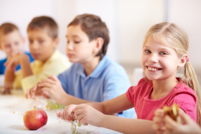 Câmara de Andradina discute iluminação pública e merenda escolar