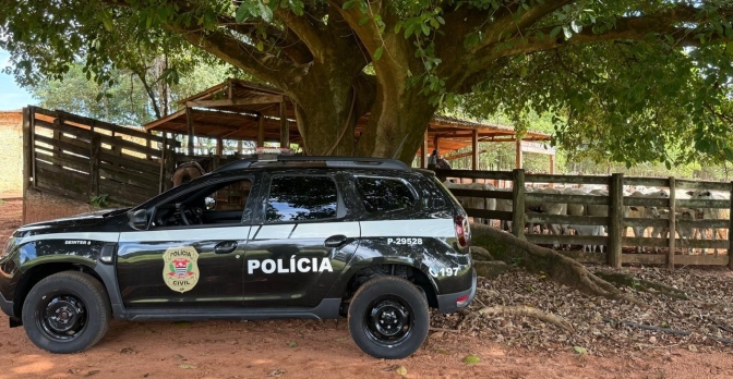 POLÍCIA CIVIL DE SANTO ANASTÁCIO LOCALIZA E RESTITUI BOVINOS SUPOSTAMENTE SUBTRAÍDOS DE UMA FAZENDA