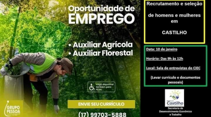 Oportunidade de emprego: Arauco e Secretaria de Desenvolvimento de Castilho promovem quase 100 vagas para homens e mulheres