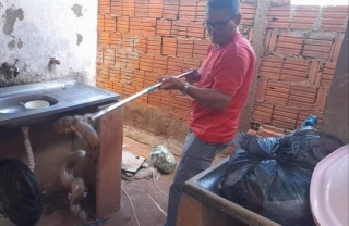 Criança é atacada por cobra em residência no bairro Laranjeiras em Castilho