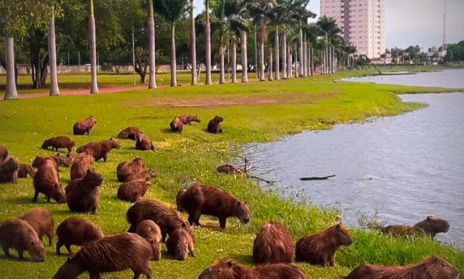 Três Lagoas: Uma das Cidades Mais Seguras de Mato Grosso do Sul aponta anuário