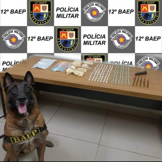 BAEP de Araçatuba prendeu indivíduo por tráfico de drogas e porte de munições, alvo de combate ao crime bairro Chácaras TV