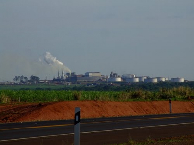 Oportunidades na Raízen em Andradina (SP): Junte-se a um dos Maiores Grupos Empresariais do Brasil!