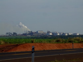 Oportunidades na Raízen em Andradina (SP): Junte-se a um dos Maiores Grupos Empresariais do Brasil!