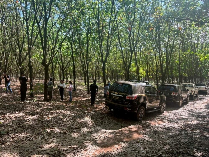 Polícia Federal faz operação para fiscalizar trabalho em seringais na região de Araçatuba