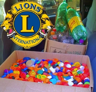 AÇÃO SOLIDÁRIA DO LIONS MURUTINGA PROTEGE O AMBIENTE E AJUDA HOSPITAL DE AMOR