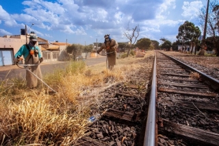 Ferrovia que corta Andradina e Araçatuba na mira de consórcio de gigantes