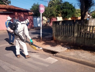 Prefeitura de Três Lagoas divulga resultados do LIRAa e alerta para risco de epidemia