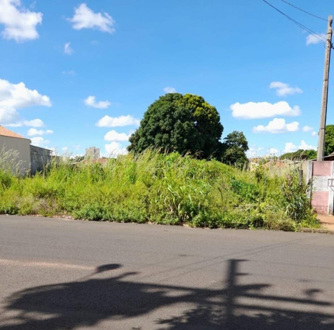 Andradinenses pedem socorro para situação dos terrenos e casas abandonadas