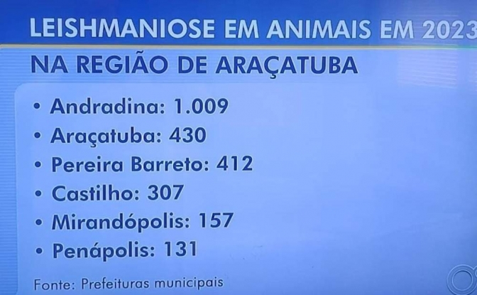 Andradina lidera ranking de cidade com maior número de leishmaniose da região de Araçatuba