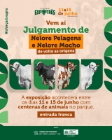 Sindicato Rural de Três Lagoas está de volta as origens e promove o Julgamento de Nelore