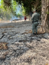 Proprietário rural de Castilho “LIMPA” quintal com fogo e é multado pela Polícia Ambiental em quase R$ 4.5 MIL