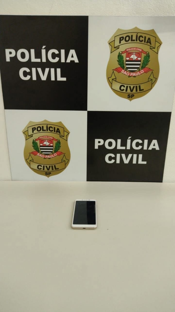 POLÍCIA CIVIL DE PRESIDENTE PRUDENTE DEFLAGRA OPERAÇÃO DESARME PARA RECUPERAR ARMAS DE FOGO SUBTRAÍDAS