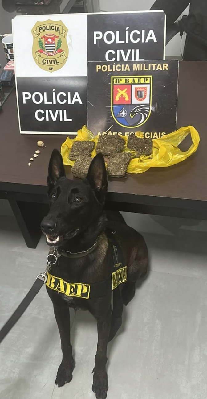 POLÍCIA CIVIL PRENDE DOIS HOMENS EM FLAGRANTE POR TRÁFICO DE DROGAS EM PIRAPOZINHO COM APOIO DO CANIL DO BAEP