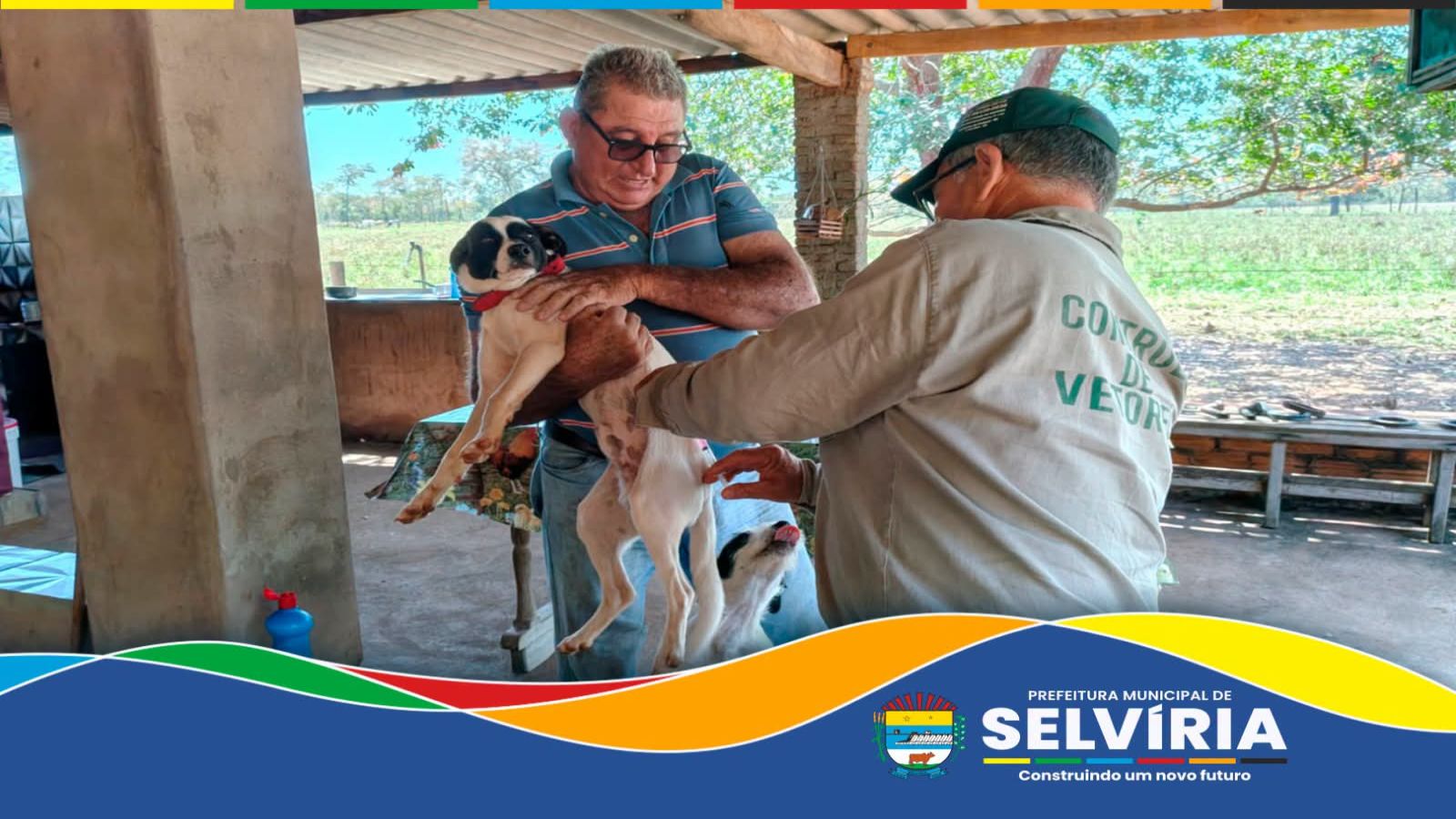 Selvíria já vacinou mais de 1,3 mil cães e gatos contra a raiva; Campanha continua 