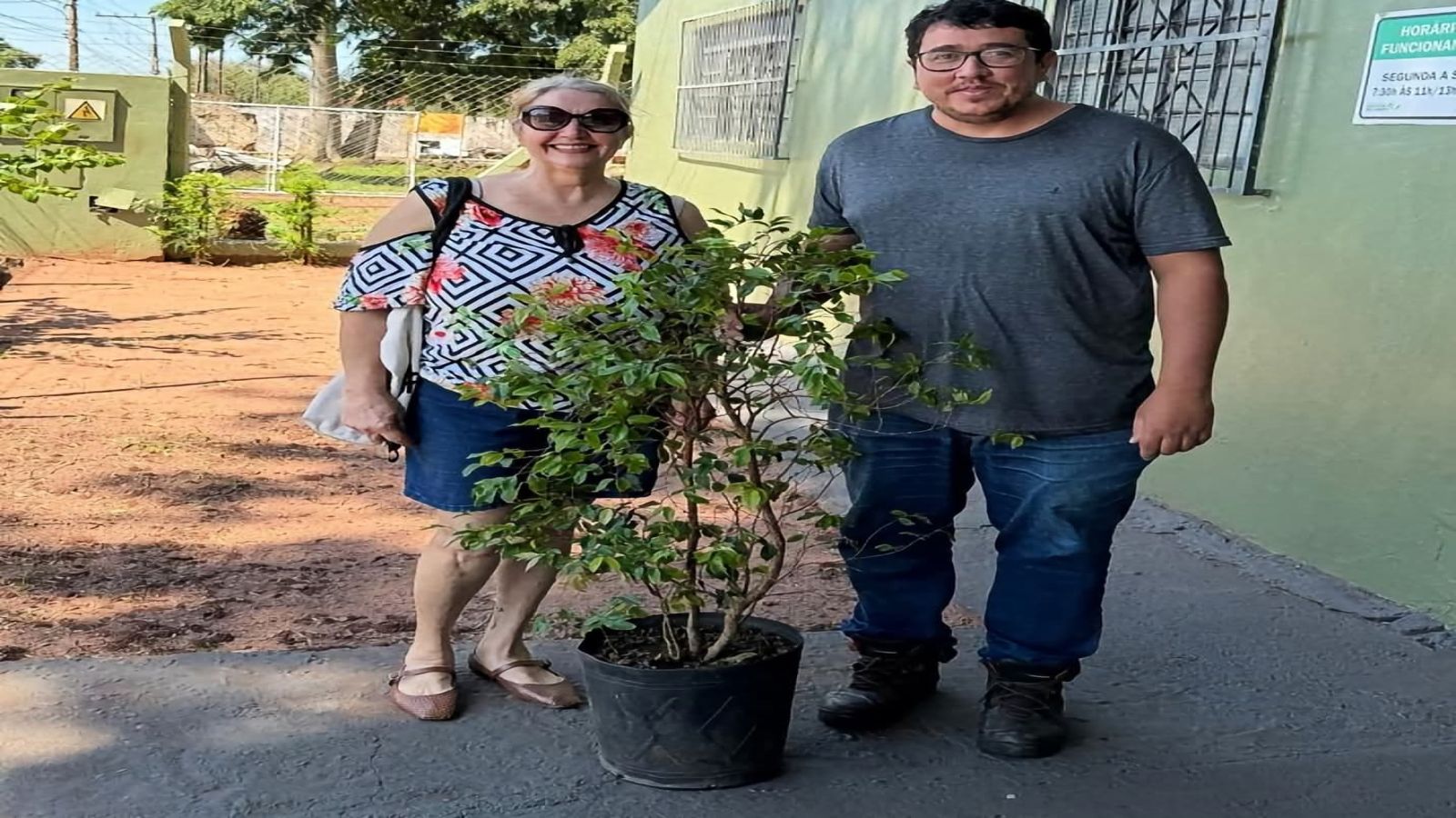 MEIO AMBIENTE REALIZA DOAÇÃO DE MUDA FRUTÍFERA PARA FORMAÇÃO DE POMAR URBANO  EM ANDRADINA 